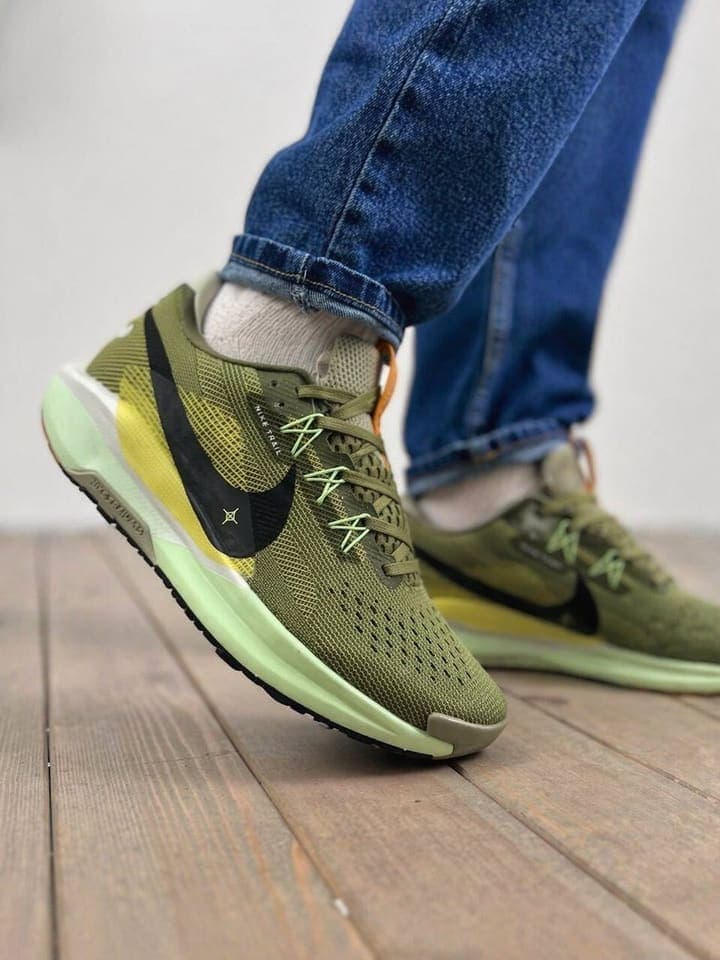 Кроссовки Nike Pegasus DV3864 сетка